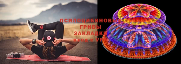 гидра Тихвин