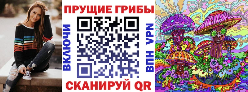 мега онион Хотьково Псилоцибиновые грибы Psilocybe